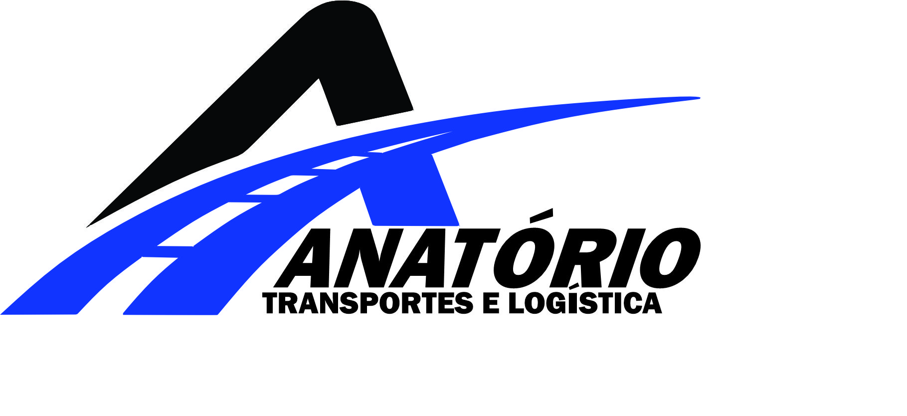 Anatorio Neto - CEO